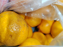 京鲜生 四川爱媛38号果冻橙 净重8斤 单果190g起 生鲜水果橘桔年货拼团 实拍图