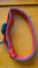 多尼斯（DOGNESS）狗狗牵引绳遛狗绳狗链子项圈小中型犬泰迪柯基法斗博美马犬 红M 实拍图