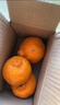 云南蜜橘 新鲜无籽薄皮桔子水果橘子橙子小青柠金桔沃柑小青柑 带箱2斤（55mm起） 实拍图