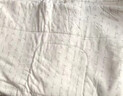 良良（liangliang）婴儿被子低敏秋冬儿童被子幼儿园被子午睡新生儿7A抑菌四季被 儿童款·蚕丝被【200G·秋冬被】 150*120cm盖被（适合0-6岁） 实拍图