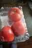 番茄约500g 实拍图