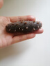 晓芹大连即食海参3斤35-50只 固形物≥75% 辽刺参 海鲜水产 年货 实拍图