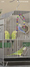 八哥新款鸟笼子生态虎皮鹦鹉大号牡丹鹦鹉笼家用专用玄凤豪华别墅 电镀银【长32*宽30*高44】 八哥笼一套餐一 晒单实拍图