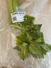 有机芹菜（西芹）400g 实拍图