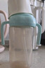 小土豆（potato）儿童水杯大宝宝吸管奶瓶PP水杯9个月以上带重力球 300ml萌动绿 实拍图