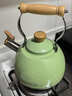 苏泊尔SUPOR 鸣笛不锈钢开水壶 复合底磁通烧水壶 2.5L绿色ES25TS01-G 实拍图