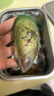 海鲜世家新西兰熟冻原汁全壳青口贝净含量1kg 21-26只/袋原装进口海鲜年货 实拍图