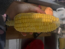 佳农宝菜山东带绿皮新鲜水果玉米健康轻食玉米4-6根4.5斤装源头直发 实拍图