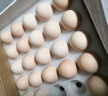 1号会员店 可生食标准鲜鸡蛋30枚 净重3斤 1号会员店自有品牌  源头直发 实拍图