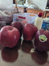 京鲜生 甘肃天水花牛苹果 又大又红 净重4斤 单果160g起  新鲜水果  实拍图