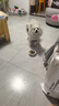 心粮全价全期狗粮美毛靓毛鲜肉鱼油冻干狗粮成犬幼犬通用鲜肉犬粮5斤 实拍图