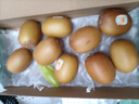 佳沛（zespri）佳沛奇异果新西兰进口阳光金果【JD顺丰-送货上门】黄心猕猴桃 【礼盒】优选 9颗 单果约100-120g 实拍图