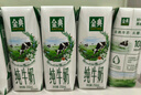 伊利金典纯牛奶整箱 250ml*16盒 3.6g乳蛋白 年货礼盒装 实拍图