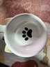 甜浪海猫碗陶瓷猫粮碗狗碗猫食盆猫咪喝水碗高脚斜口防打翻护颈喂食碗 实拍图