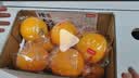 【产地直采】赣南脐橙大果礼盒4kg/箱(单果200g+) 实拍图