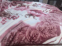 恒源祥拉舍尔毛毯 双层盖毯加大加厚约6.6斤200*230cm 实拍图