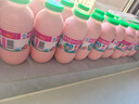 李子园成毅同款甜牛奶乳饮料草莓味225ml*20瓶营养早餐奶整箱年货送礼 实拍图