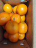 土八鲜赣南脐橙江西橙子赣州脐橙新鲜水果应季水果礼盒 奋斗橙净重4.5-5斤【果径60-69mm】 实拍图