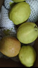 京鲜生 新疆库尔勒香梨 净重10斤 特级 单果120g以上 生鲜水果 实拍图