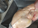 温氏 供港黄油鸡2.4斤 冷冻 农家土鸡母鸡走地鸡 慢养110天以上 实拍图