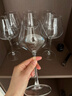 CLITON玻璃红酒杯高脚杯勃艮第杯分酒器10件酒具套装家用6个酒杯醒酒器  实拍图