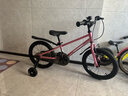 途锐达京东自营超轻儿童自行车3-6岁女童脚踏车女孩元旦礼物蜂鸟16寸粉 实拍图