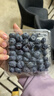 怡颗莓Driscoll's云南蓝莓14mm+ 12盒装 约125g/盒 水果年货礼盒 实拍图