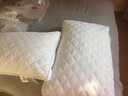 洁丽雅（Grace）纤维枕星级酒店枕头枕芯46*72cm一对装（2只装） 实拍图