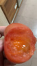 正宗攀枝花沙瓤西红柿露天生吃粉果番茄新鲜采摘非普罗旺斯西红柿 净重中果【80-120克】 5斤 实拍图