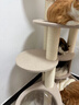 兽牌森林猫爬架大型猫树猫窝一体豪华剑麻猫架太空舱缅因大猫四季适用 森林【双太空舱款】 实拍图