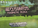 布鲁奇我的世界磁力方块儿童玩具3-6岁磁力积木磁铁磁力片男孩1-3岁礼物 实拍图