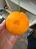 泰汇吃四川春见耙耙柑新鲜水果整箱孕妇橘子时令柑橘 净重4.5斤精选单果140g++ 实拍图