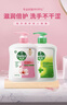 滴露（Dettol）洗手液抑菌滋润450g*2+松木450g*2儿童家庭补充装消毒温和护手 实拍图