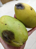 集南鲜 越南青玉芒果 芒果当季大青皮黄皮大芒果新鲜水果整箱 含箱10斤  单果200g起  净重9斤 实拍图