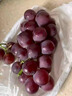 顺丰东北辽宁巨峰葡萄5斤新鲜水果无籽香甜黑提子当季现摘整箱发L 净重2斤装【顺丰快递】 实拍图