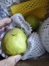 京鲜生 新疆库尔勒香梨 净重10斤 特级 单果120g以上 生鲜水果 实拍图