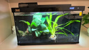 森森金麟超白玻璃鱼缸一体缸自循环客厅小型家用水族箱LE-480B 实拍图