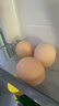 京鲜生【每日鲜蛋】无抗谷物鸡蛋30枚 3.18斤 当日产蛋 当日发货 实拍图