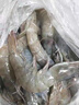 东上御品虾 青岛大虾基围虾鲜活青虾白虾海虾对虾冰虾冻虾生鲜 虾类 海鲜 3斤(净重)  气冻大虾【活虾速冻】 15-18cm【单只超大虾】 实拍图
