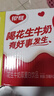 银鹭【年货送礼】花生牛奶饮料250ml*20盒早餐奶整箱礼盒 实拍图