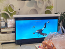 KITV新款55英寸超高清彩电家用智能电视机网络WiFi智能语音平板曲面防爆客厅卧室酒店监控显示器 75LED 超清护眼语音版【125cmX75cm】 实拍图