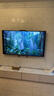 华为Vision智慧屏 5 SE 65英寸 鸿蒙AI搜片MiniLED鸿鹄画质 一级能效国家补贴投屏平板电视机HD65KULU 实拍图