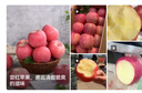 京鲜生陕西洛川红富士净重5斤75-80mm单果170g+新鲜水果源头直发 实拍图