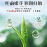 乐品乐茶高山绿茶黄山云雾特级2025新茶茶叶明前浓香型春茶散装自己喝500g 实拍图