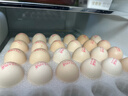 正大食品（CP）鲜鸡蛋年货节礼盒装30枚 Plus联名款 3.18斤 源头直发 实拍图
