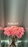 百花馆鲜花速递小时达玫瑰花满天星真花束生日礼物送女友表白同城配送花 【缘定三生】33朵粉玫|U65 实拍图
