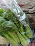 上海青约500g(油菜) 实拍图