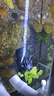 森森（SUNSUN）鱼缸冲浪泵水族箱造浪泵横流造流泵 JVP-110 3w适合0.6米以下的鱼缸 实拍图