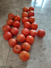 正宗攀枝花沙瓤西红柿露天生吃粉果番茄新鲜采摘非普罗旺斯西红柿 净重中果【80-120克】 5斤 实拍图