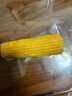 京鲜生 东北小糯九黄糯玉米150g*10棒 真空包装黏玉米棒 源头直发 实拍图